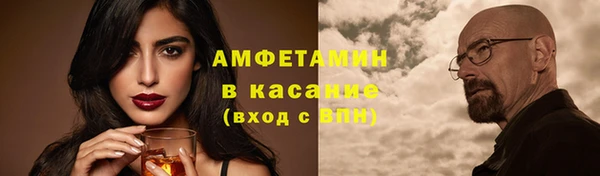 индика Алексин