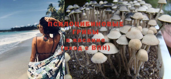 спайс Армянск