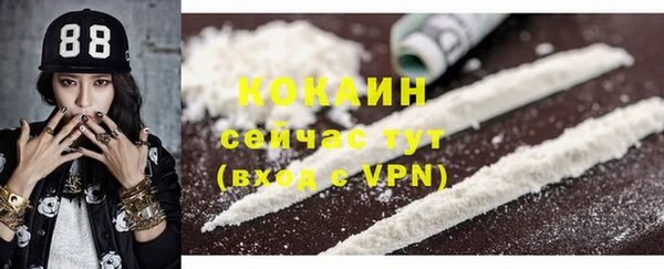 ешки Алзамай