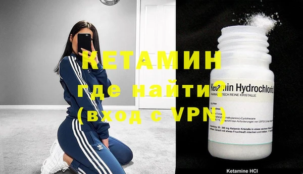 индика Алексин