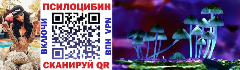 Галлюциногенные грибы прущие грибы  Кологрив 